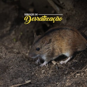 Desratização