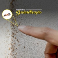 Desinsetização