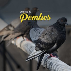 Expurgo de Pombos